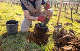 إعــــــلان ف/ي حملة التشجير ليوم 2026/02/12