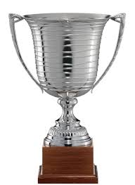 Demi Finale Coupe de Wilaya "Seniors"